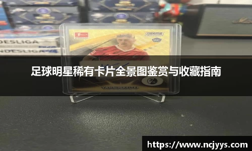 足球明星稀有卡片全景图鉴赏与收藏指南